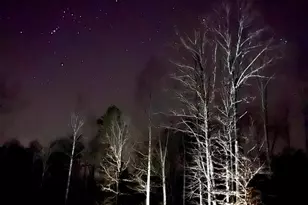 4601 S Blue Ridge Turnpike, Rochelle, VA 22738 - Photo 39