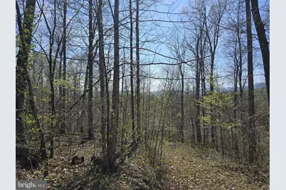 Lot 1 S Ft Valley Rd, Madison, VA 22727 - Photo 11