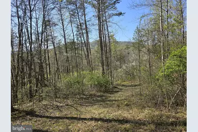 Lot 1 S Ft Valley Rd, Madison, VA 22727 - Photo 3