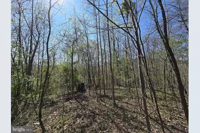 Lot 1 S Ft Valley Rd, Madison, VA 22727 - Photo 13