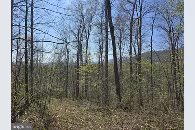 Lot 1 S Ft Valley Rd, Madison, VA 22727 - Photo 5