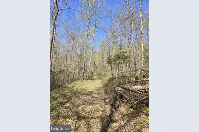 Lot 2 S Ft Valley Rd, Madison, VA 22727 - Photo 13