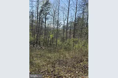 Lot 2 S Ft Valley Rd, Madison, VA 22727 - Photo 9