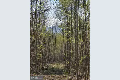 Lot 2 S Ft Valley Rd, Madison, VA 22727 - Photo 17