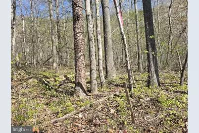 Lot 2 S Ft Valley Rd, Madison, VA 22727 - Photo 11