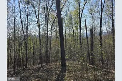 Lot 2 S Ft Valley Rd, Madison, VA 22727 - Photo 3