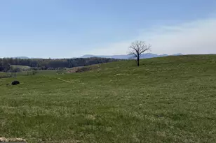 1388 Novum Church, Reva, VA 22735 - Photo 3