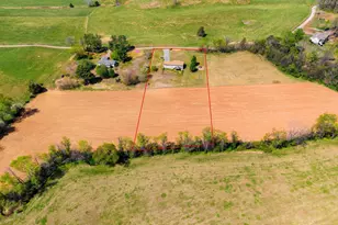 1388 Novum Church, Reva, VA 22735 - Photo 63