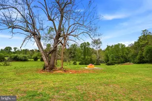 481 James City Rd, Reva, VA 22735 - Photo 75
