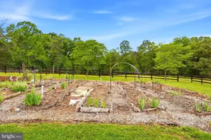481 James City Rd, Reva, VA 22735 - Photo 71