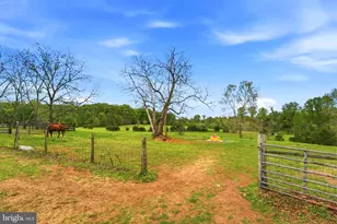 481 James City Rd, Reva, VA 22735 - Photo 73