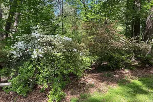 359 Malvern Dr, Madison, VA 22727 - Photo 43