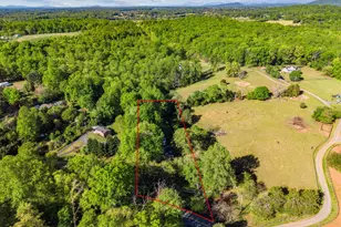 850 Oak Park, Madison, VA 22727 - Photo 3
