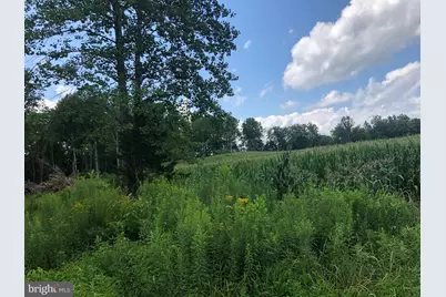 Tbd Orange Rd., Aroda, VA 22709 - Photo 13