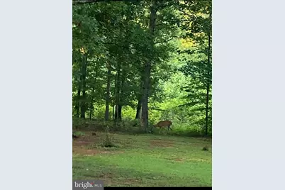 804 Buggy, Rochelle, VA 22738 - Photo 45