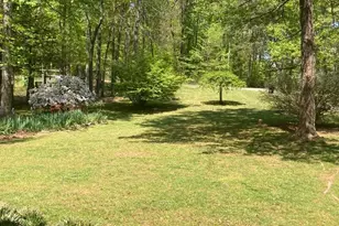 804 Buggy, Rochelle, VA 22738 - Photo 43