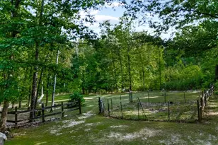 804 Buggy, Rochelle, VA 22738 - Photo 37