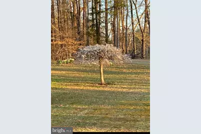 804 Buggy, Rochelle, VA 22738 - Photo 7