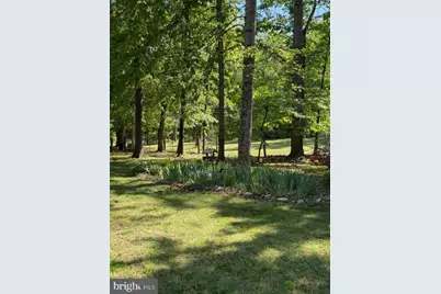 804 Buggy, Rochelle, VA 22738 - Photo 5