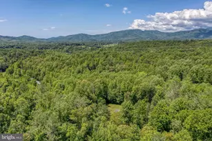 803 Weaver Hollow Rd, Banco, VA 22711 - Photo 55