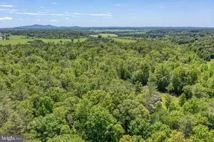 803 Weaver Hollow Rd, Banco, VA 22711 - Photo 59