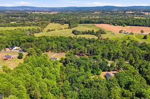 40 John Tucker Rd, Madison, VA 22727 - Photo 51