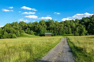 99 Bluff Mountain Rd, Madison, VA 22727 - Photo 27