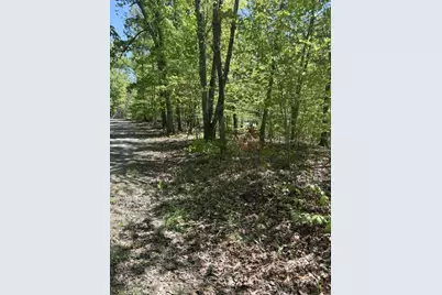 Davis Lane, Aroda, VA 22709 - Photo 3
