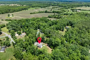 4771 S Blue Ridge Turnpike, Rochelle, VA 22738 - Photo 29