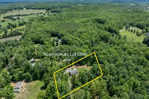 4771 S Blue Ridge Turnpike, Rochelle, VA 22738 - Photo 27