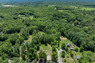 4771 S Blue Ridge Turnpike, Rochelle, VA 22738 - Photo 27