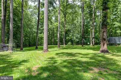1425 Jacks Shop Road, Rochelle, VA 22738 - Photo 55