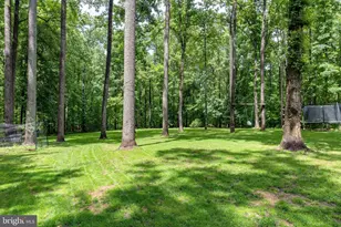 1425 Jacks Shop Rd, Rochelle, VA 22738 - Photo 55