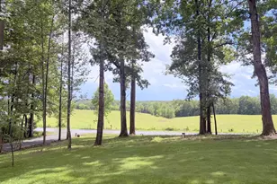 1425 Jacks Shop Rd, Rochelle, VA 22738 - Photo 39