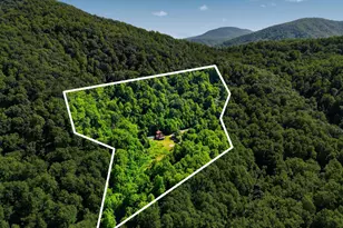 2411 Quaker Run Rd, Banco, VA 22711 - Photo 5