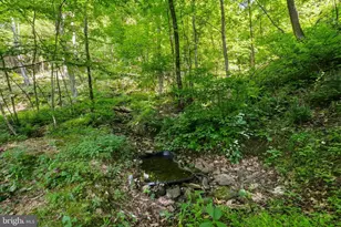 2411 Quaker Run Rd, Banco, VA 22711 - Photo 43