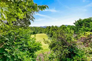 4028 S F T Valley Rd, Etlan, VA 22719 - Photo 75