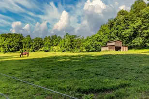 4028 S F T Valley Rd, Etlan, VA 22719 - Photo 21