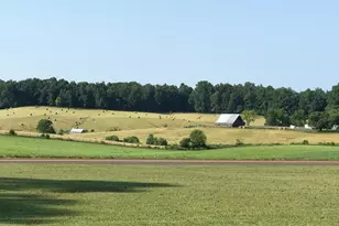 1765 Oneals Rd, Madison, VA 22727 - Photo 3