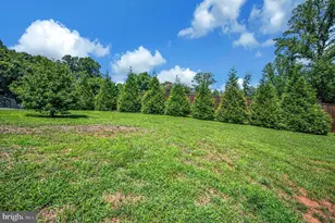 1765 Oneals Rd, Madison, VA 22727 - Photo 71