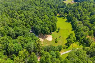 1515 Desert Rd, Reva, VA 22735 - Photo 3