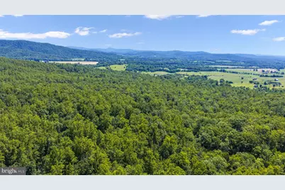 1319 Champe Plain, Etlan, VA 22719 - Photo 57