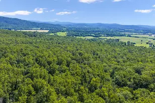1319 Champe Plain, Etlan, VA 22719 - Photo 57