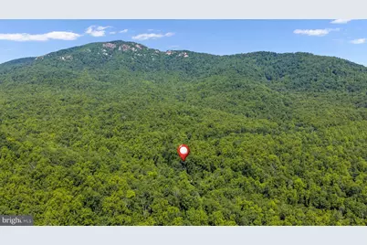1319 Champe Plain, Etlan, VA 22719 - Photo 55