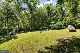 1319 Champe Plain, Etlan, VA 22719 - Photo 45