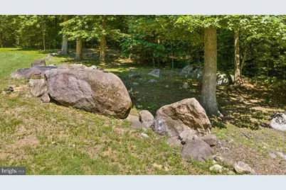 1319 Champe Plain, Etlan, VA 22719 - Photo 53