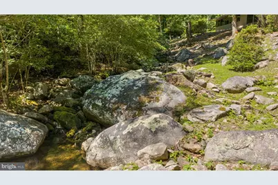 1319 Champe Plain, Etlan, VA 22719 - Photo 5
