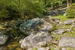 1319 Champe Plain, Etlan, VA 22719 - Photo 5