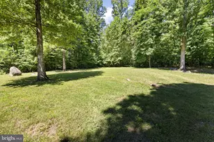 1319 Champe Plain, Etlan, VA 22719 - Photo 43