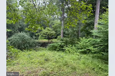 W Hoover Road, Reva, VA 22735 - Photo 3